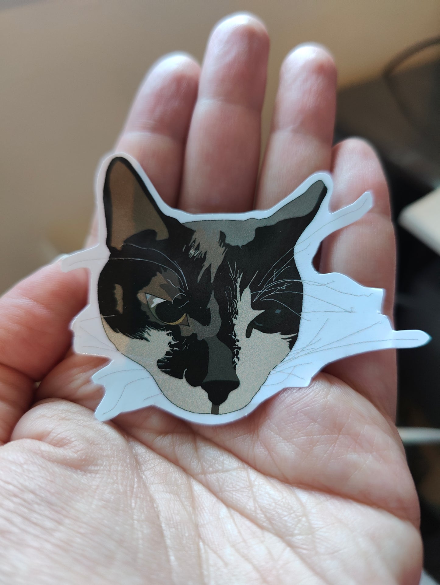 Nacho kitty sticker