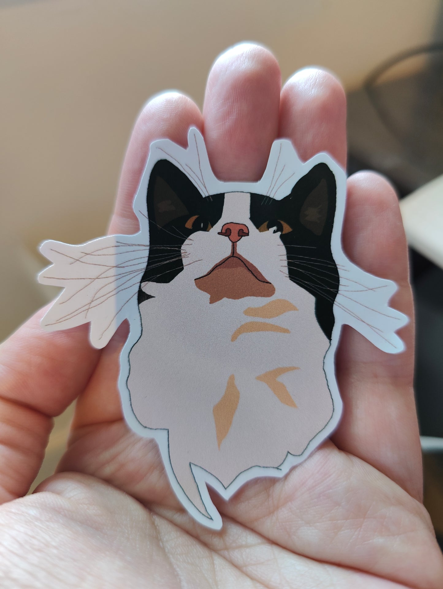 Salsa kitty sticker